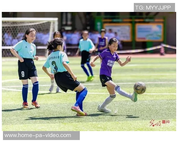 足球赛现场的激情与感动让我难以忘怀的体验与思考