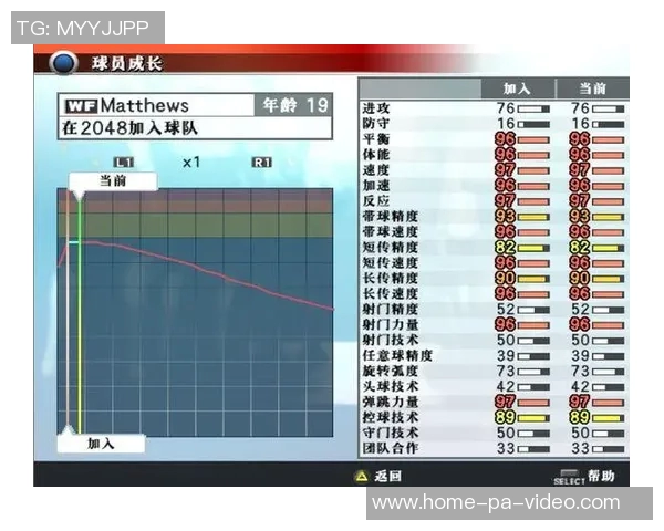 选购足球的实用指南与技巧分享助你找到理想球具